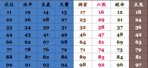 天醫車牌|易經數字DNA解析